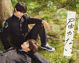 如何做地方网站优化